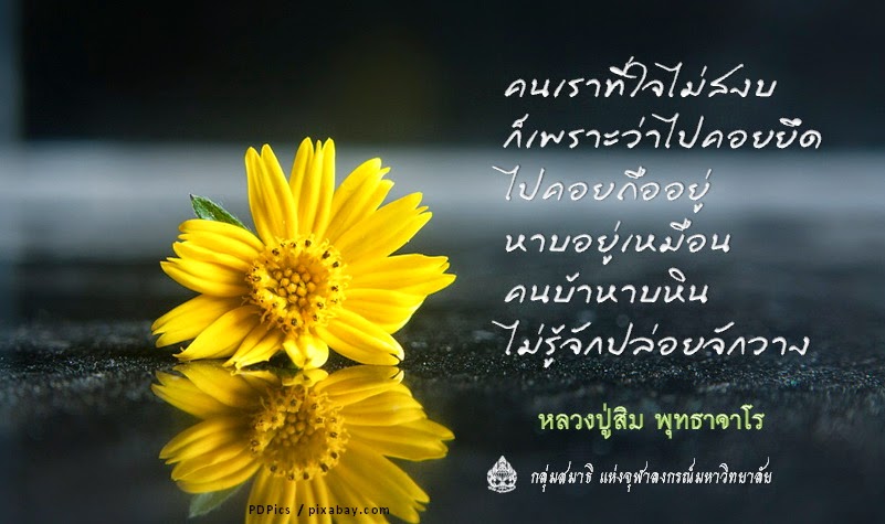 หลวงปู่สิม+29.jpg