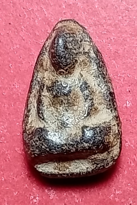 20250428_105604.jpg