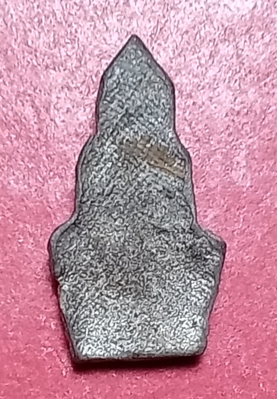 20260303_110304.jpg