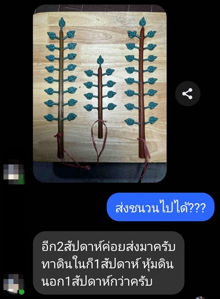 240235.jpg