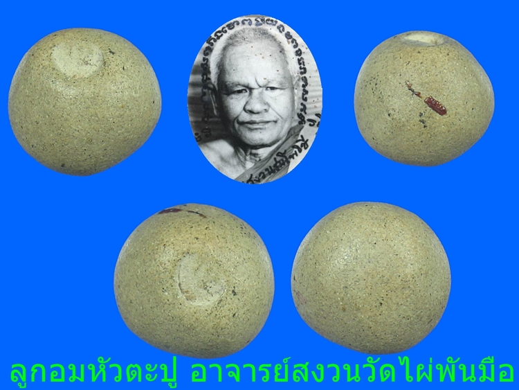 33หัวตะปูเนื้อจัด1.jpg