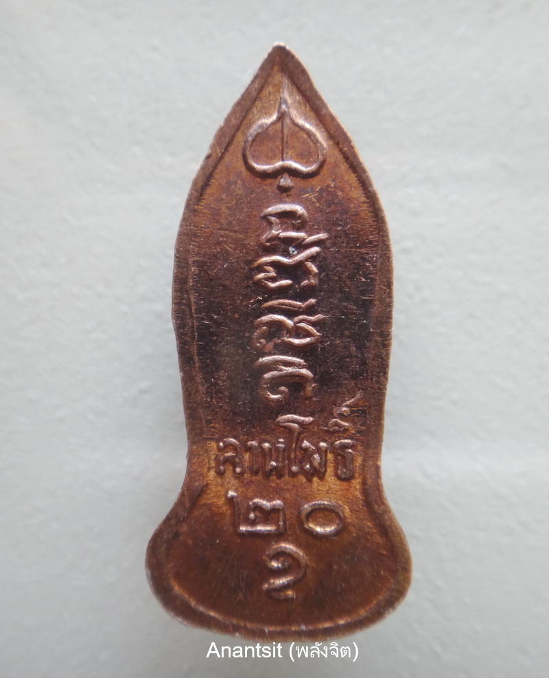 P2.jpg